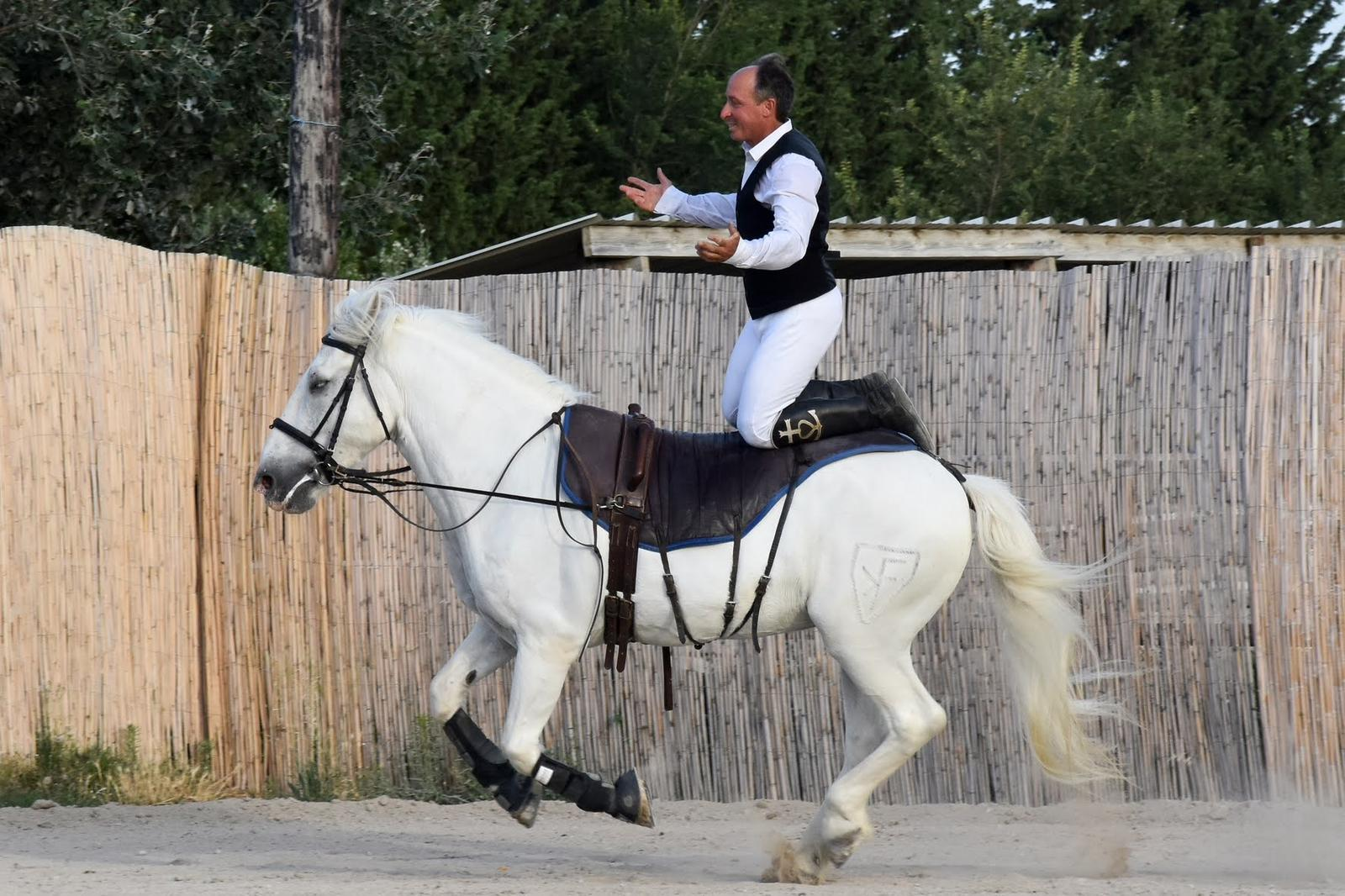 image_2025-11-25_142057071