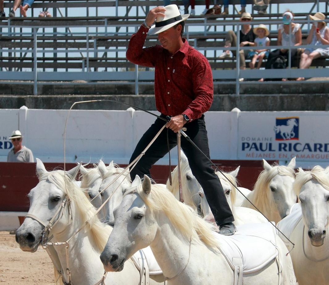 POSTE HONGROISE 3 R 12-12-25