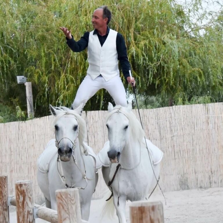 Christophe Chaussy, artiste équestre à Barbentane, sur deux chevaux de Carmargue