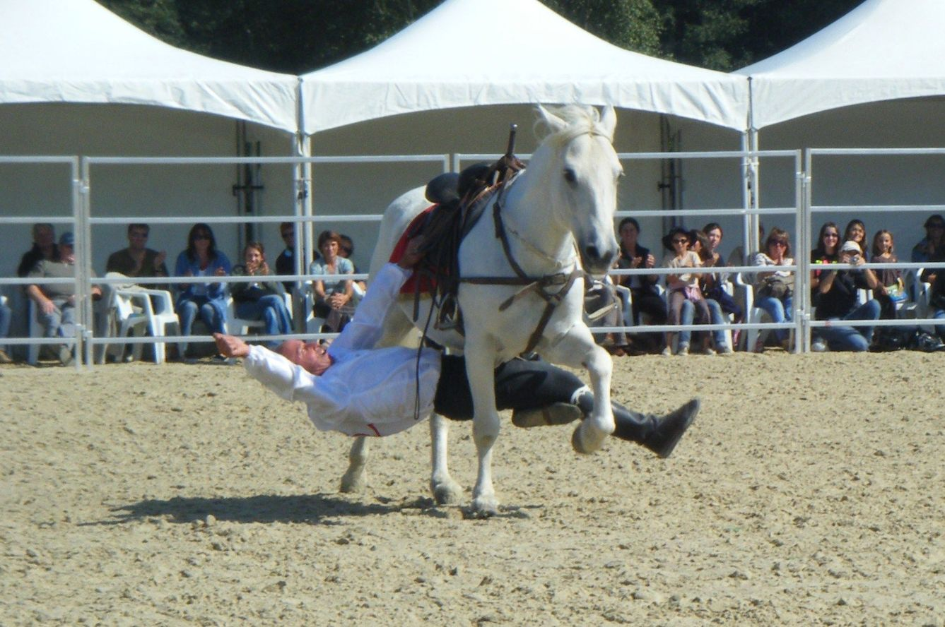 image_2025-12-03_141753697