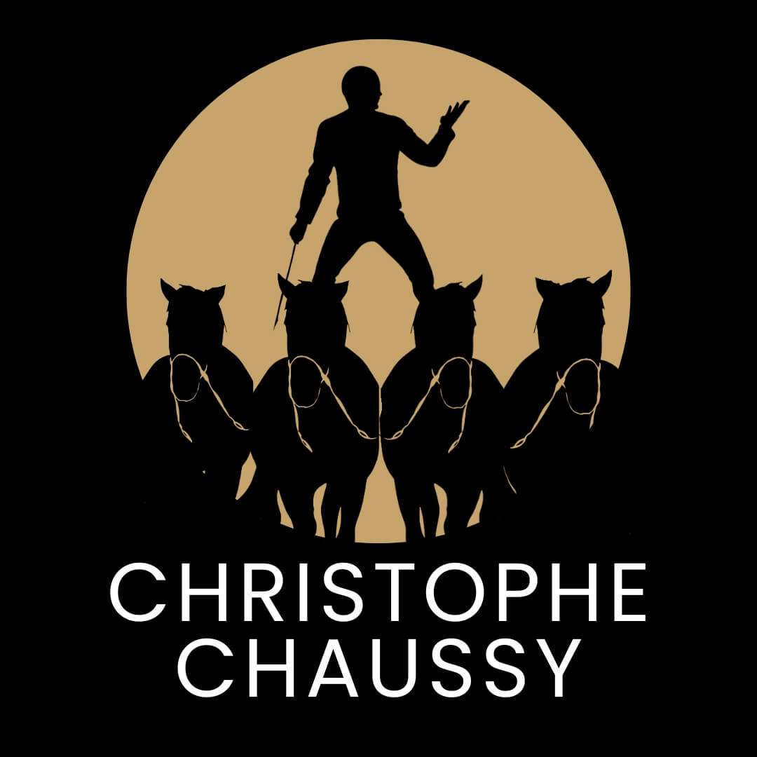 Logo Christophe Chaussy