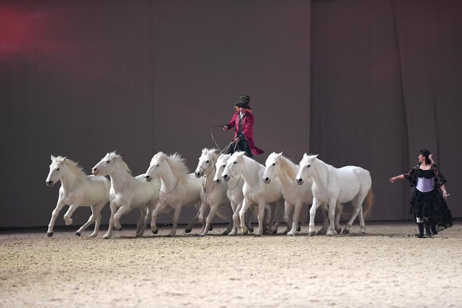 numero-liberte-des-camargues