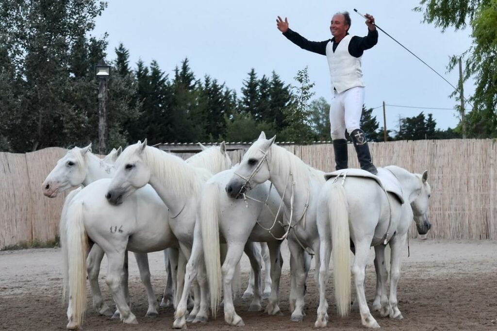 Spectacle équestre ce Christophe Chausssy à barbentane