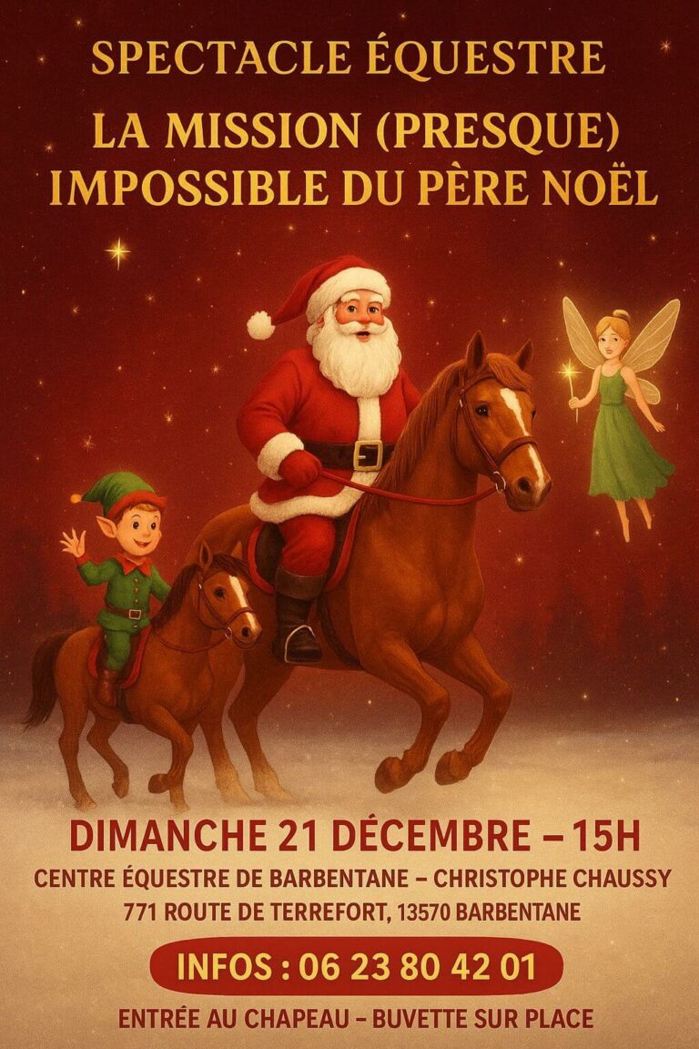 Spectacle équestre en Provence